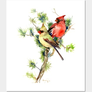 Male and Female Cardinal Birds Posters and Art